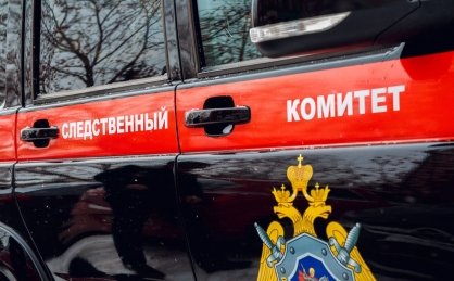 Обвиняемый в убийстве малолетней помещен под стражу